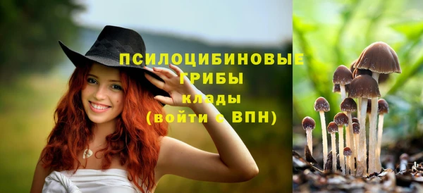 PSILOCYBIN Нефтегорск