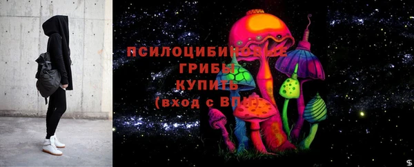 PSILOCYBIN Нефтегорск