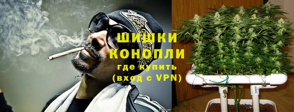 PSILOCYBIN Нефтегорск