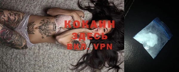 PSILOCYBIN Нефтегорск