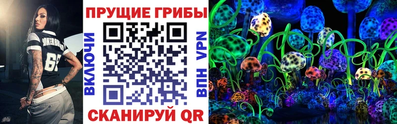 Псилоцибиновые грибы мухоморы  наркошоп  Тбилисская 