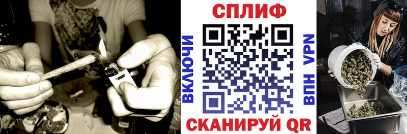 Шишки марихуана MAZAR  Тбилисская 